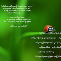 Thandar aung