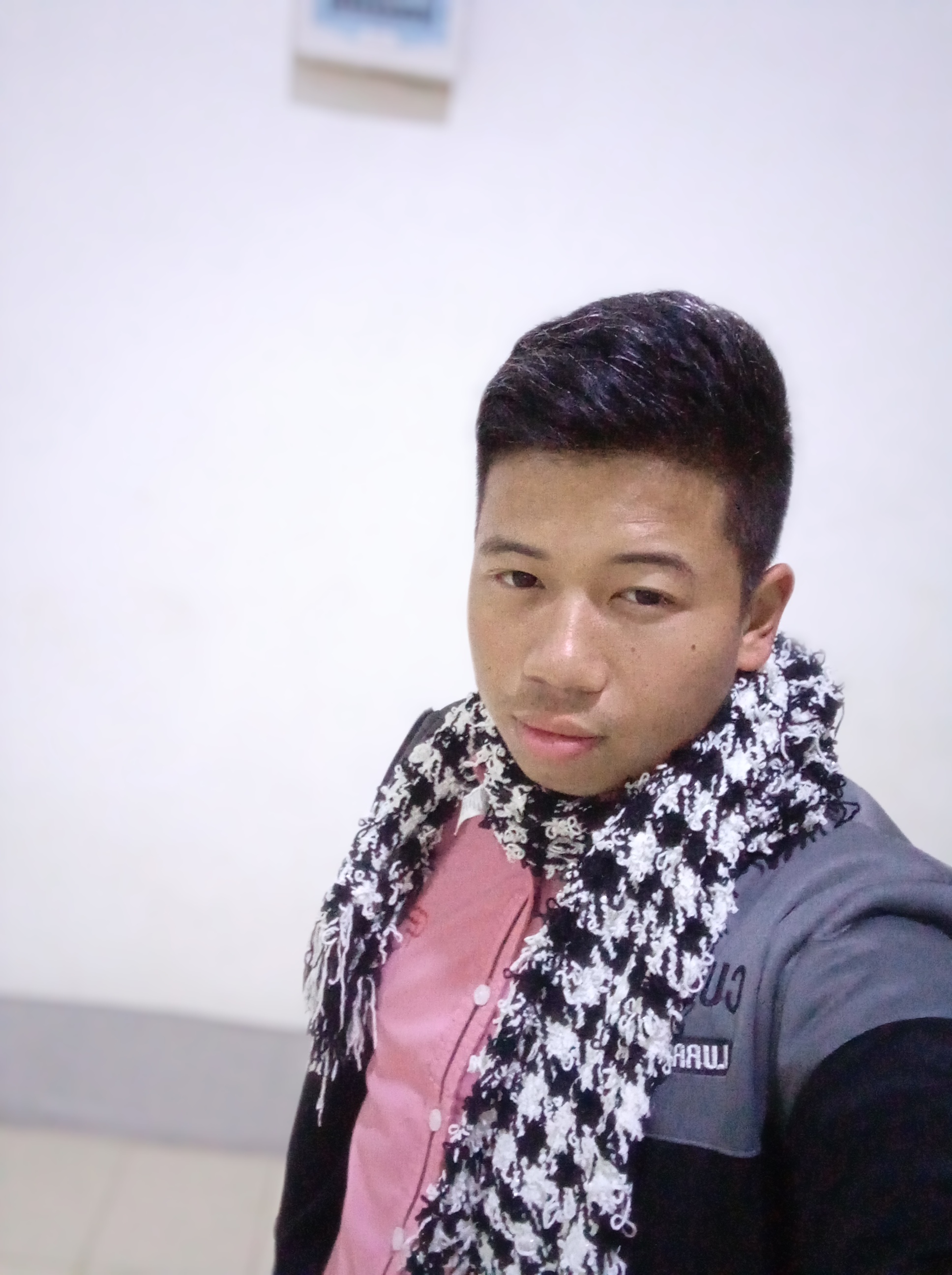 Swan htet